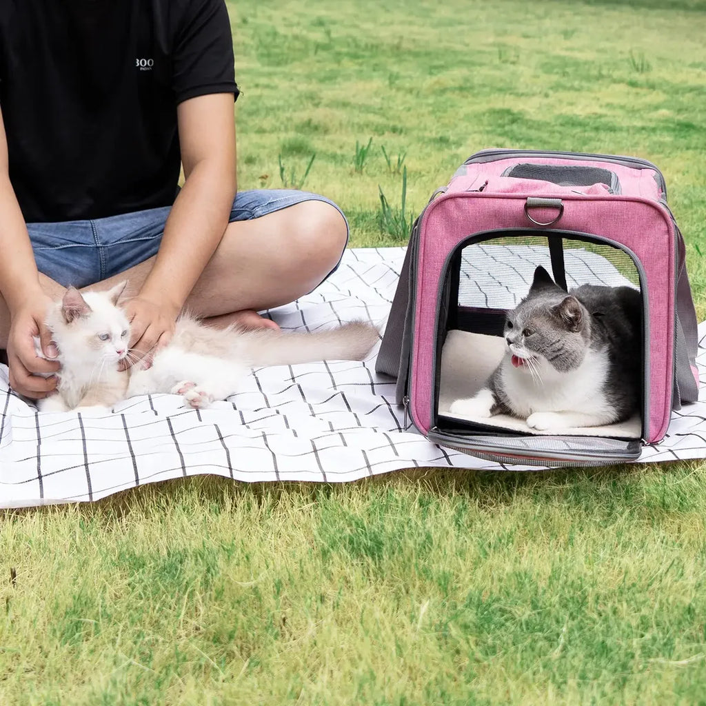 Pet Bag