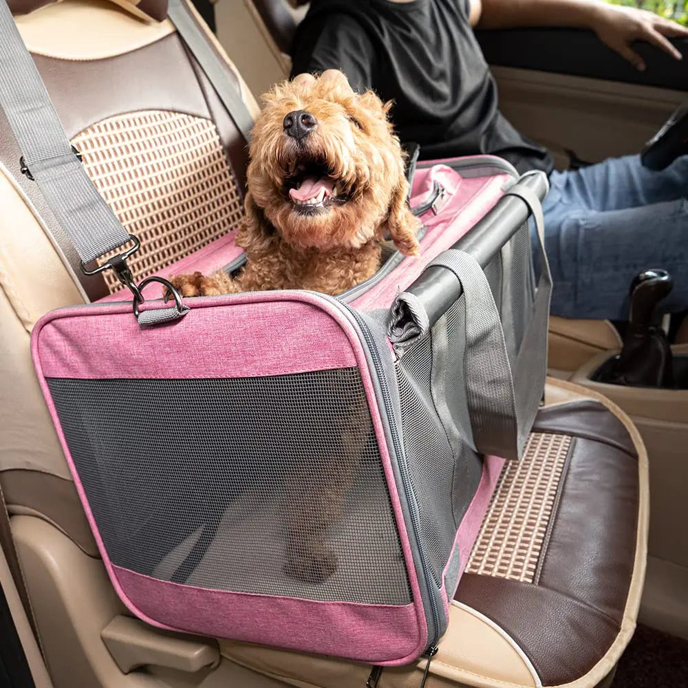 Pet Bag